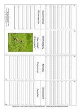 Faltbuch-Grünspecht.pdf